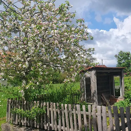 Zimmerei Schwarzwald Mit Toller Aussicht Apartment