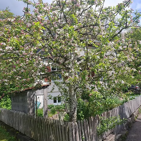 Apartment Zimmerei Schwarzwald Mit Toller Aussicht Bad Teinach-Zavelstein